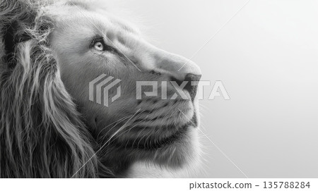 Lion head profile embodying strength and leadership vision. Majestic lion head looking up in a monochrome minimalist style created with soft edges Lion head profile embodying strength and leadership vision. Majestic lion head looking up in a monochrome minimalist style created with soft edges 135788284