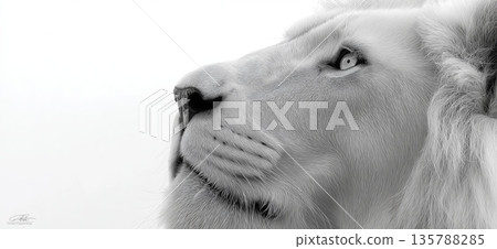 Lion head profile embodying strength and leadership vision. Majestic lion head looking up in a monochrome minimalist style created with soft edges Lion head profile embodying strength and leadership vision. Majestic lion head looking up in a monochrome minimalist style created with soft edges 135788285