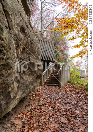 wooden bridge in nature wooden bridge in nature 135788501