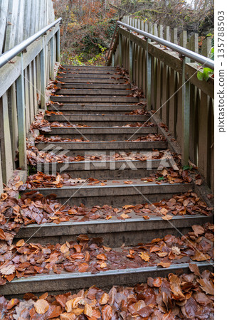 wooden bridge in nature 135788503