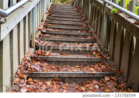 wooden bridge in nature wooden bridge in nature 135788504