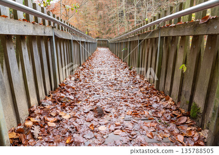 wooden bridge in nature 135788505