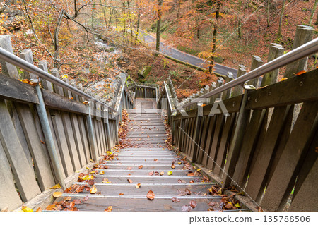 wooden bridge in nature 135788506
