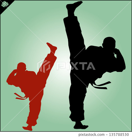 Martial art colored simbol design. Karate emblem. Martial art colored simbol design. Karate emblem. 135788530