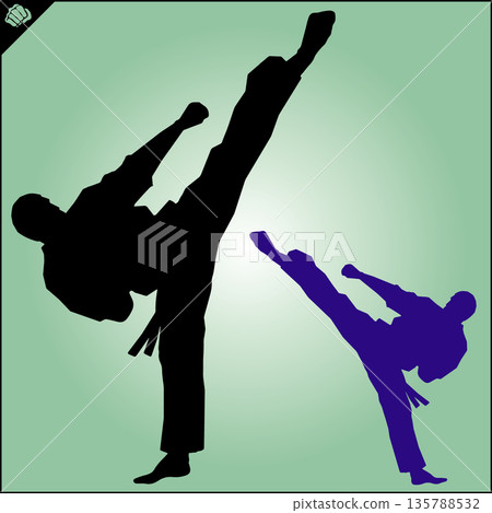 Martial art colored simbol design. Karate emblem. Martial art colored simbol design. Karate emblem. 135788532