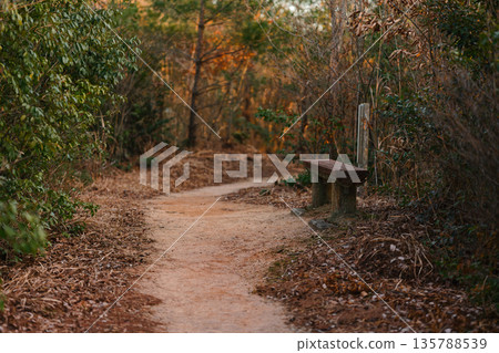 山間小道和長椅 135788539