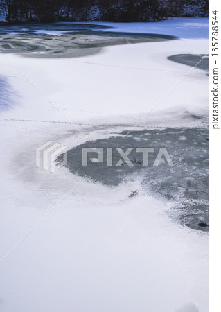 Ice patterns and small animal footprints [Tojo Dam] 135788544