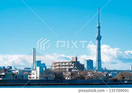 Harp Bridge and Skytree as seen from Nakagawa Promenade 135789091