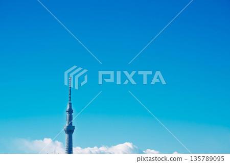 發光在藍天的天空樹 發光在藍天的天空樹 135789095