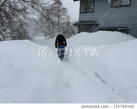 秋田郡鄉村,白雪皚皚的冬日房屋景觀 秋田郡鄉村,白雪皚皚的冬日房屋景觀 135789109