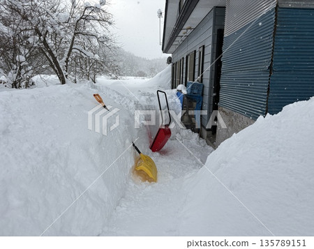 秋田郡鄉村，白雪皚皚的冬日房屋景觀 135789151
