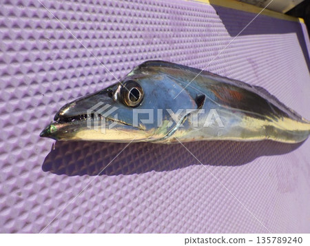 Fresh fish Fresh fish 135789240