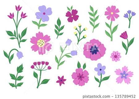 A set of flowers and leaves of various shapes. Vector graphics. 135789452
