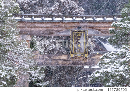 260124 Sakurayama Hachiman Shrine G300 135789703