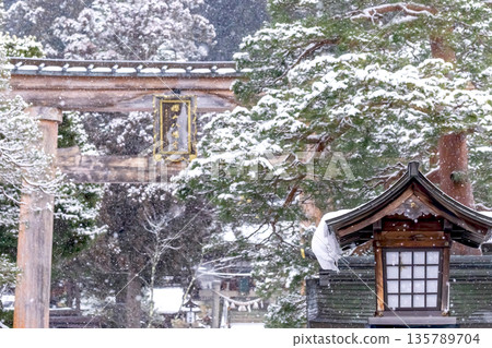 260124 Sakurayama Hachiman Shrine G304 135789704