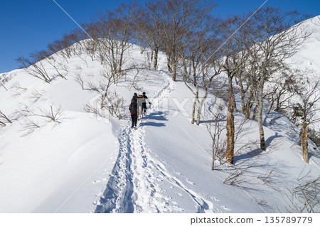 Climbers walking along the Tenjin Ridge of Mt. Tanigawa in the dead of winter (snow mountain climbing) 135789779