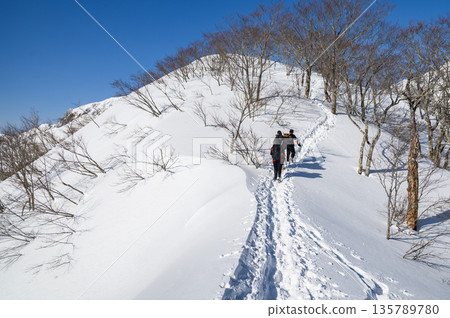 Climbers walking along the Tenjin Ridge of Mt. Tanigawa in the dead of winter (snow mountain climbing) 135789780