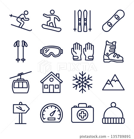 Winter Sports and Activities Icons 135789891