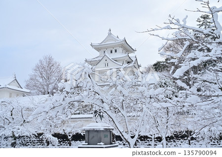 城堡天守閣和雪山櫻（大垣城） 135790094