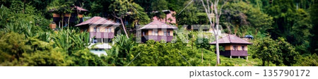 Wooden huts in the jungle. Lush tropical rainforest with wooden houses. Wooden huts in the jungle. Lush tropical rainforest with wooden houses. 135790172