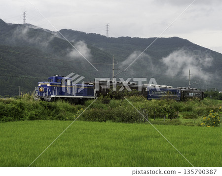DL大樹 DL大樹 135790387