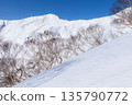 Snowy scenery of the main ridge seen from the Tenjin Ridge of Mt. Tanigawa in winter 135790772