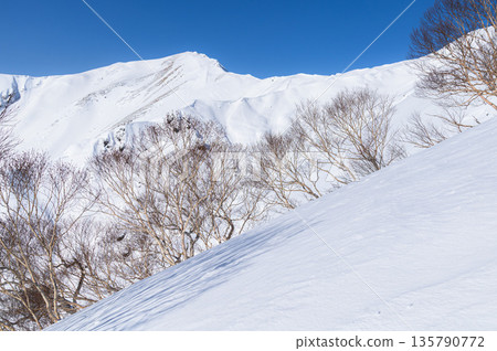 冬季從谷川山天神嶺眺望主山脊的雪景 冬季從谷川山天神嶺眺望主山脊的雪景 135790772