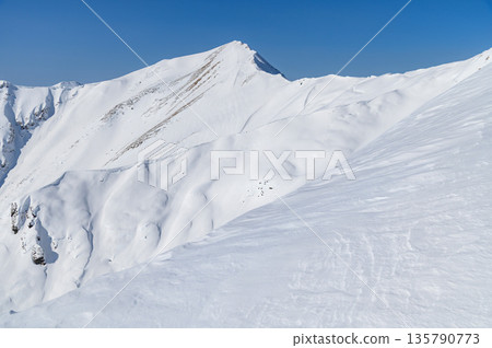 Snowy scenery of the main ridge seen from the Tenjin Ridge of Mt. Tanigawa in winter Snowy scenery of the main ridge seen from the Tenjin Ridge of Mt. Tanigawa in winter 135790773