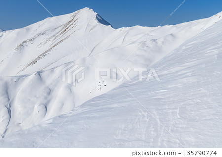 Snowy scenery of the main ridge seen from the Tenjin Ridge of Mt. Tanigawa in winter Snowy scenery of the main ridge seen from the Tenjin Ridge of Mt. Tanigawa in winter 135790774