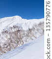 Snowy scenery of the main ridge seen from the Tenjin Ridge of Mt. Tanigawa in winter 135790776