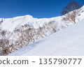 Snowy scenery of the main ridge seen from the Tenjin Ridge of Mt. Tanigawa in winter 135790777