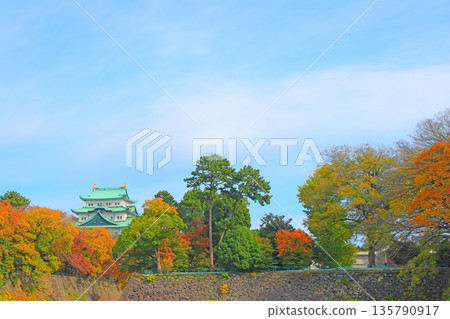 Autumn scenery of Nagoya Castle, Nagoya City, Aichi Prefecture Autumn scenery of Nagoya Castle, Nagoya City, Aichi Prefecture 135790917