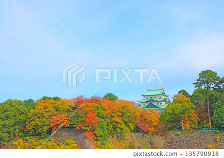 Autumn scenery of Nagoya Castle, Nagoya City, Aichi Prefecture Autumn scenery of Nagoya Castle, Nagoya City, Aichi Prefecture 135790918