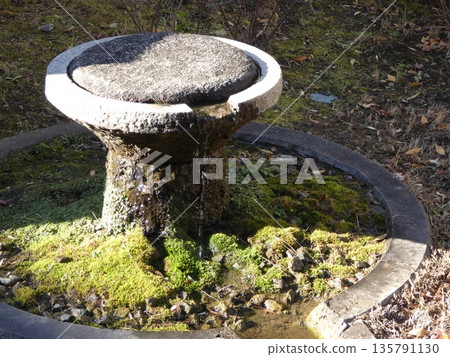 A stone stone basin and vibrant moss illuminated by the soft winter light. A scene that exudes the tranquility and tranquility of a Japanese garden. A stone stone basin and vibrant moss illuminated by the soft winter light. A scene that exudes the tranquility and tranquility of a Japanese garden. 135791130