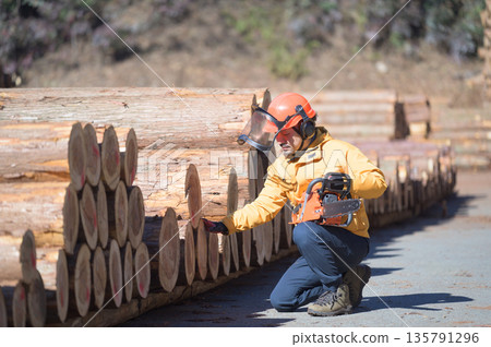 A man checking wood with a chainsaw A man checking wood with a chainsaw 135791296