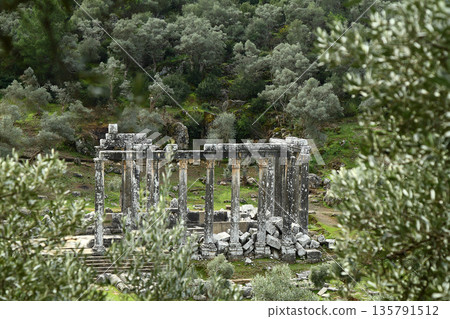 Columns of the ancient temple of Zeus at Euromos was an ancient city in Caria Anatolia Turkey 135791512