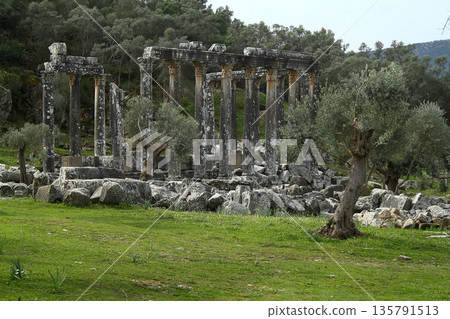 Columns of the ancient temple of Zeus at Euromos was an ancient city in Caria Anatolia Turkey 135791513