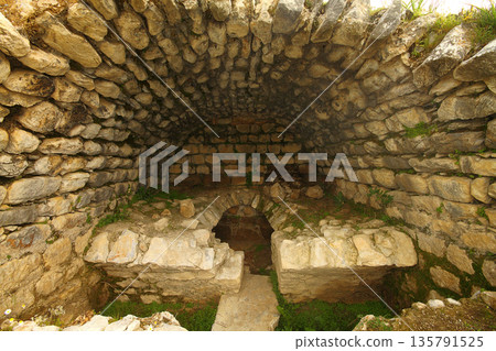 Columns of the ancient temple of Zeus at Euromos was an ancient city in Caria Anatolia Turkey 135791525