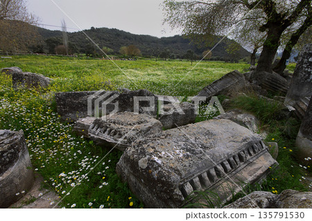 Columns of the ancient temple of Zeus at Euromos was an ancient city in Caria Anatolia Turkey 135791530
