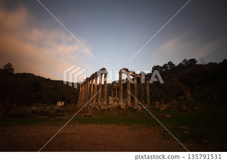 Columns of the ancient temple of Zeus at Euromos was an ancient city in Caria Anatolia Turkey Columns of the ancient temple of Zeus at Euromos was an ancient city in Caria Anatolia Turkey 135791531