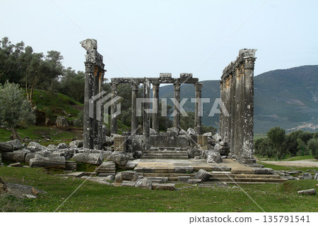 Columns of the ancient temple of Zeus at Euromos was an ancient city in Caria Anatolia Turkey Columns of the ancient temple of Zeus at Euromos was an ancient city in Caria Anatolia Turkey 135791541