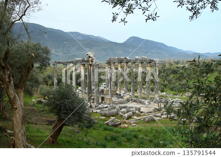 Columns of the ancient temple of Zeus at Euromos was an ancient city in Caria Anatolia Turkey Columns of the ancient temple of Zeus at Euromos was an ancient city in Caria Anatolia Turkey 135791544