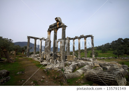 Columns of the ancient temple of Zeus at Euromos was an ancient city in Caria Anatolia Turkey Columns of the ancient temple of Zeus at Euromos was an ancient city in Caria Anatolia Turkey 135791549