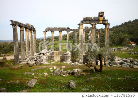 Columns of the ancient temple of Zeus at Euromos was an ancient city in Caria Anatolia Turkey Columns of the ancient temple of Zeus at Euromos was an ancient city in Caria Anatolia Turkey 135791550