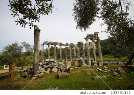 Columns of the ancient temple of Zeus at Euromos was an ancient city in Caria Anatolia Turkey Columns of the ancient temple of Zeus at Euromos was an ancient city in Caria Anatolia Turkey 135791551