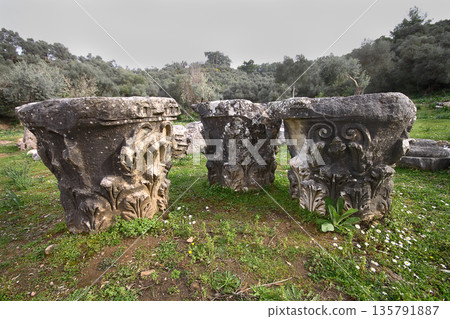 Columns of the ancient temple of Zeus at Euromos was an ancient city in Caria Anatolia Turkey Columns of the ancient temple of Zeus at Euromos was an ancient city in Caria Anatolia Turkey 135791887