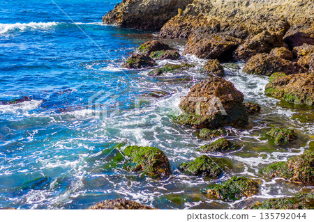 Waves to rock Waves to rock 135792044
