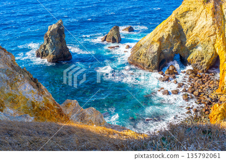 Nishiizu Town, Shizuoka Prefecture / Cliffs seen from Koganezaki Park 135792061