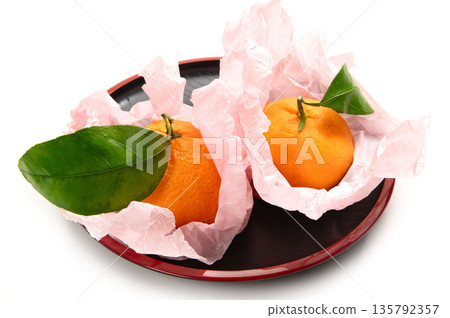 神奈川縣的柑橘,湘南的香氣 神奈川縣的柑橘,湘南的香氣 135792357