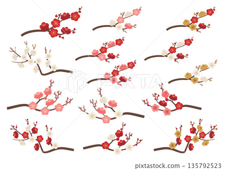 Colorful plum blossom branch set 135792523